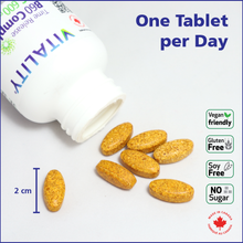 Load image into Gallery viewer, VITALITY Time Release B Complex + C 600 mg