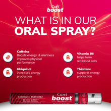 Load image into Gallery viewer, AM / PM Bundle