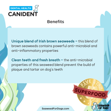 Load image into Gallery viewer, Canident - Clean Dogs Teeth (300 g)