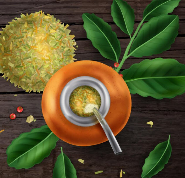 What is Yerba Maté?