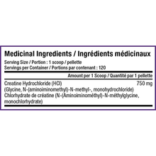 Load image into Gallery viewer, SD PHARMACEUTICALS Creatine HCL (Blue Raspberry - 300 grams)
