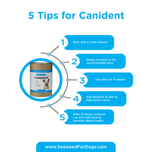 Load image into Gallery viewer, Canident - Clean Dogs Teeth (300 g)
