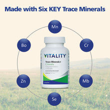Load image into Gallery viewer, VITALITY Trace Minerals + Organic Chlorella
