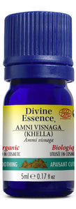 DIVINE ESSENCE Ammi Visnaga (Khella - Organic - 5 ml)