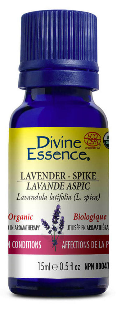 DIVINE ESSENCE Lavender - Spike (Organic - 100 ml)